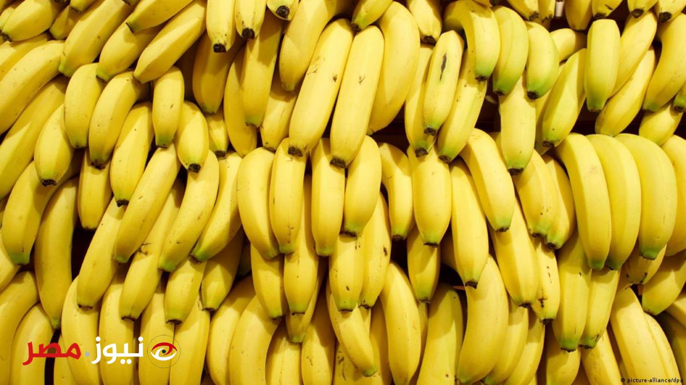 "كارثة خطيرة بكل المقاييس" .. خبير تغذية يكشف عن مفاجأة بشأن خطورة تناول الموز بهذه الطريقة .. خلي بالك قبل فوات الآوان