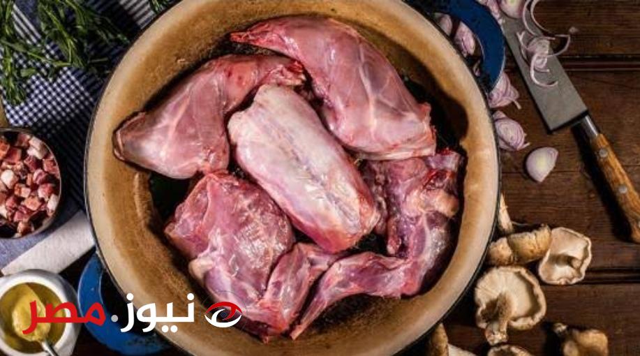 محدش هيقولك عليها غير هنا.. لماذا نبينا محمد لا يأكل لحم الأرنب ؟؟ وأيضا لا يأكل لحم الضب ؟؟ الإجابة هتصدمك