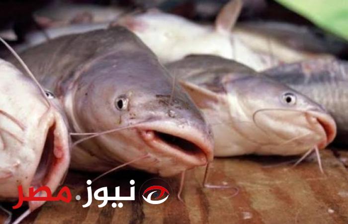 احترس قبل فوات الأوان… احذر من شراء 6 أنواع من السمك مصيرك سيكون الموت بالبطئ إن قمت بتناولها